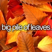 Jump in a Big Pile of Leaves