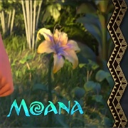The Tangled Flower in Moana