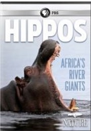 Hippos Africa's River Giants (2020)
