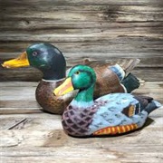 Wooden Ducks