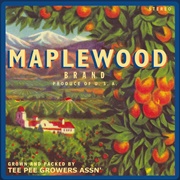 Little Dreamer Girl - Maplewood