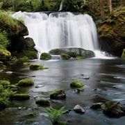 Whatcom Falls Park, Bellingham, WA