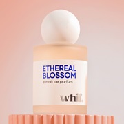 Ethereal Blossom