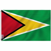 Flag of Guyana