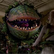 Audrey II
