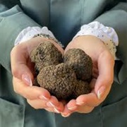 Norcian Truffles