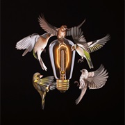 Entropy - The Collection