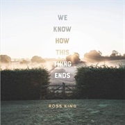 We Know How This Thing Ends - Ross King