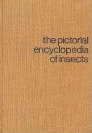 The Pictorial Encyclopedia of Insects (Paul Hamlyn)