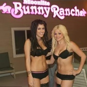 Bunny Ranch