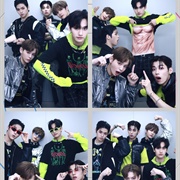 GANG Korean Chipmunk