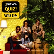 Nat Geo Quiz: Wild Life