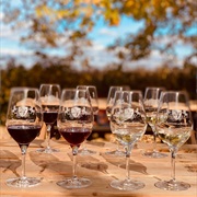 Vignoble Domaine Du Fleuve, Varennes