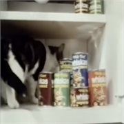 Whiskas: "Eight Out of Ten Cats"