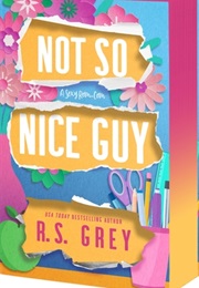 Not So Nice Guy (R.S. Grey)