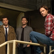 14.07 Unhuman Nature