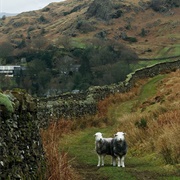 Forget the Place We're in (Downtothelastdrop)