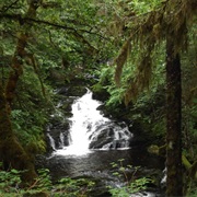 Settlers Cove State Recreation Site