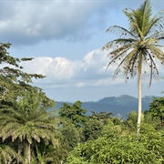 Luki Biosphere Reserve, Democratic Republic of Congo