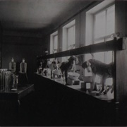 Five Dogs Undergoing Experiments on Gastric Secretion in the Laboratory of Ivan Petrovich Pavlov