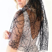 Spiderweb Design Veil