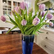 Tulips in Kitchen