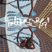 Triangle Giant - Holiday Snaps