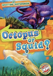 Octopus or Squid (Christina Leaf)