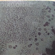 Diagonal - Cannon Misfire