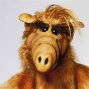 Gordon Shumway (Alf) American Television Sitcom