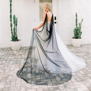 Different Colored Watteau Train on Dress