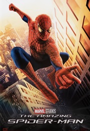 The Amazing Spider-Man (2008)