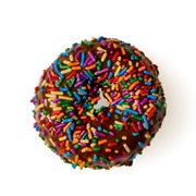 Chocolate Frosted Vanilla Cake With Sprinkles