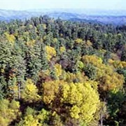 Fenglin Nature Reserve, China