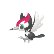 Pikipek