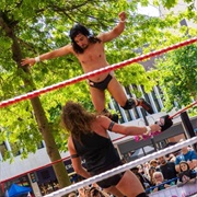 Own a Wrestling Company