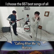 #1244 Calling After Me by Wallows