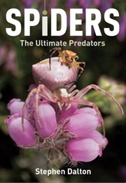 Spiders: The Ultimate Predators (Dalton, Stephen)