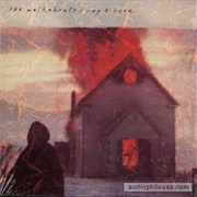 The Walkabouts - Rag & Bone