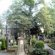 Alter Friedhof, Bonn