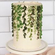 Hanging Vines Design on Cake