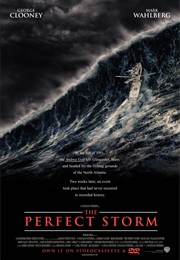 The Perfect Storm - John T. Reitz, Gregg Rudloff, David E. Campbell, & Keith A. Wester (2000)
