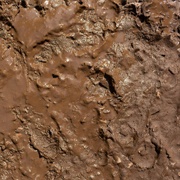 Within Rage - For the Fallen