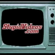 Stupidvideos.com