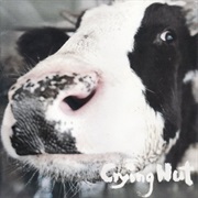 Crying Nut - Milk Cattle at the OK Corral