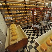 Try Dutch Cheese