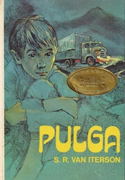 Pulga (S. R. Van Iterson/Alexander and Alison Gode)