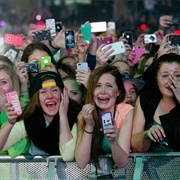 Gain a Cult Following