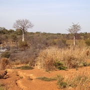 Oti Keran / Oti Mandouri Biosphere Reserve, Togo