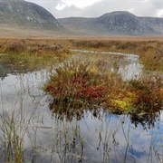 Silver Flowe Merrick Kells, Scotland